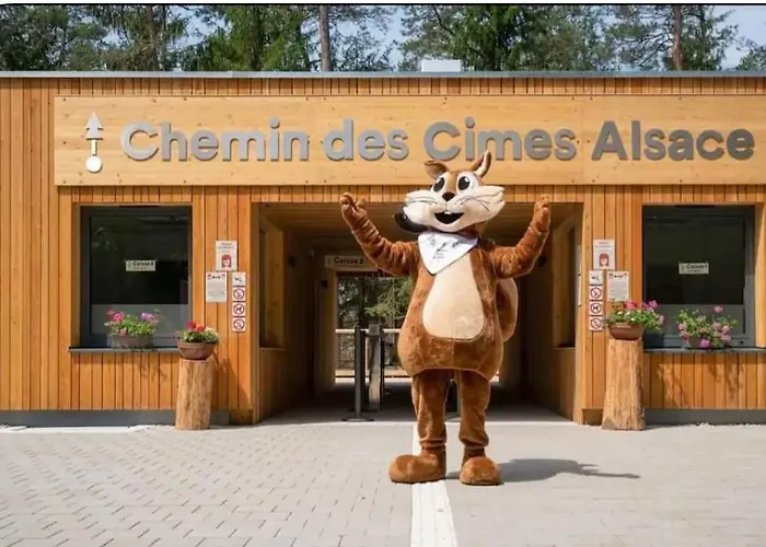 Gite Au Coin Du Chene